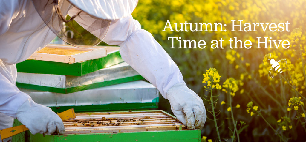 The Honey Harvest