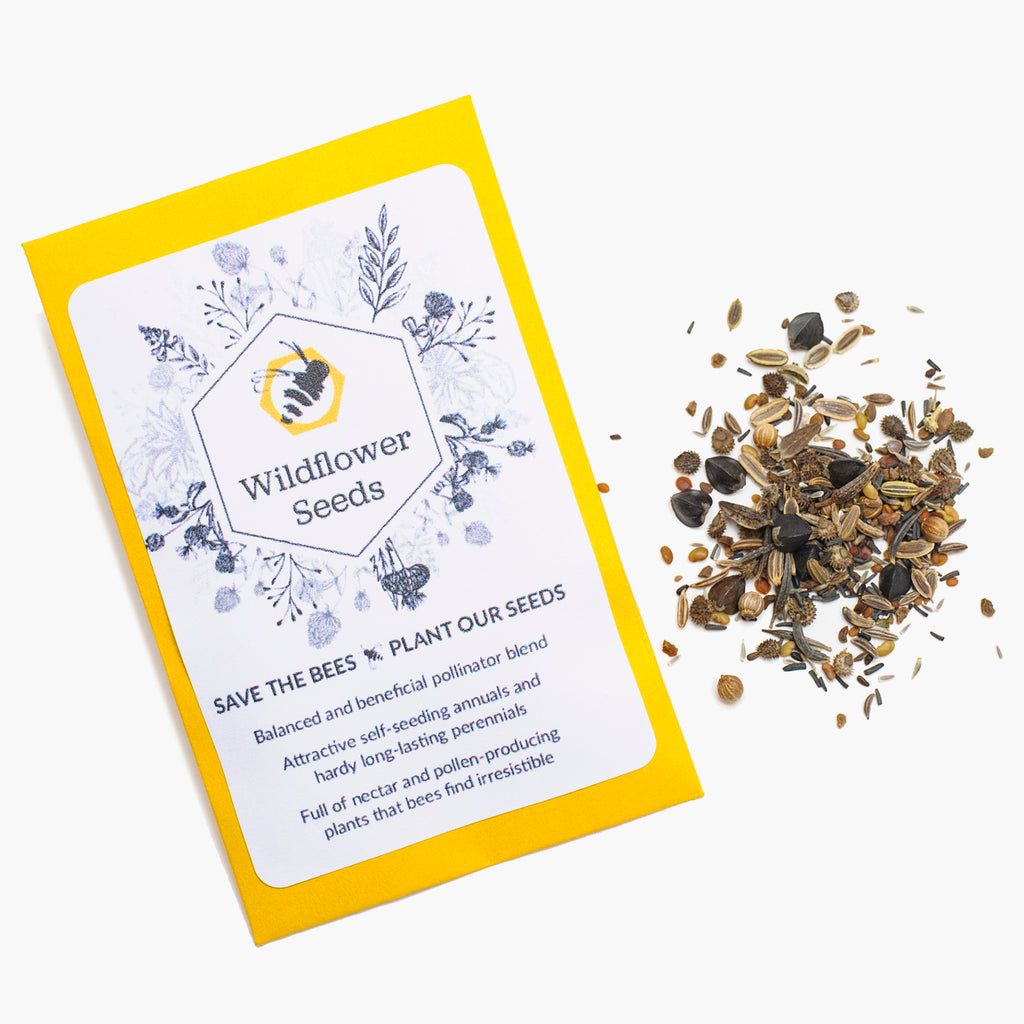 bee plant seeds Bee-Pollinator Wildflower Meadow Mix – Made By Bees